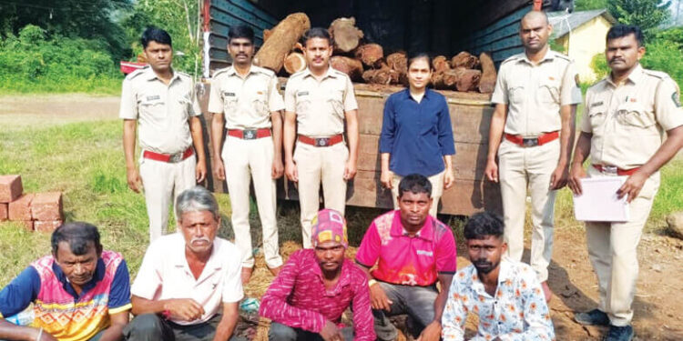 खैराची अवैध वाहतूक करणारा ट्रक जप्त