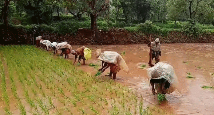 शेकडो शेतकरी प्रधानमंत्री योजनेपासून वंचित