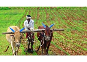 शेतकरी अपघात सुरक्षा सानुग्रह अनुदान मंजूर