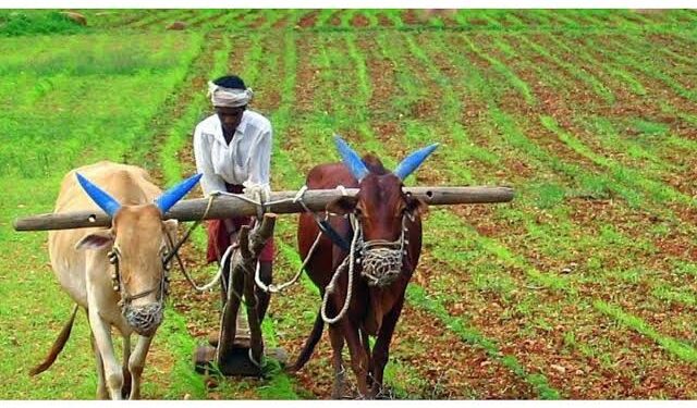 शेतकरी अपघात सुरक्षा सानुग्रह अनुदान मंजूर