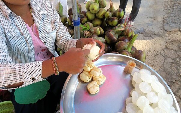 ताडगोळ्यांचे बाजारात आगमन