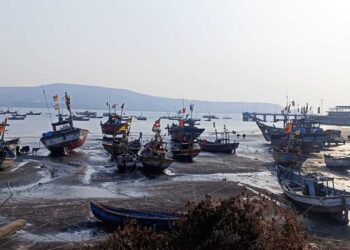 समुद्रात थैमान! मासेमारी संकटात