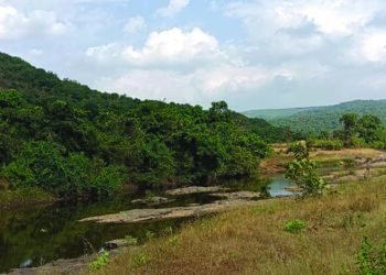 प्रकल्पग्रस्त जाणार शासनाच्या दारी