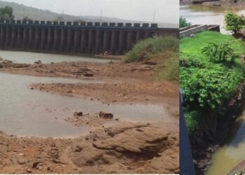 पाण्याअभावी नागोठणेकरांचे हाल