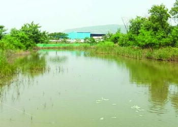 खाडीकिनारी जल प्रदूषणात वाढ