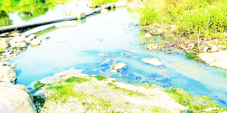 सांडपाण्यामुळे पाताळगंगा झाली गटारगंगा?