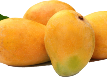 दिवाळीच्या मुहूर्तावर हापूसचे दर्शन