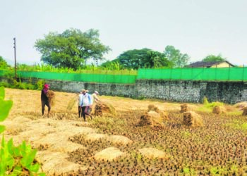 तालुक्यात शेतीच्या कामांना वेग