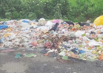 रस्त्याच्या दुर्तफा घाणीचे साम्राज्य; आरोग्याचा प्रश्न गंभीर