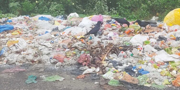 रस्त्याच्या दुर्तफा घाणीचे साम्राज्य; आरोग्याचा प्रश्न गंभीर