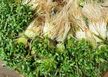 गावठी भाज्यांना ग्राहकांची पसंती