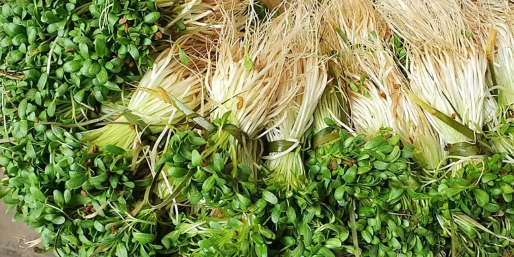 गावठी भाज्यांना ग्राहकांची पसंती