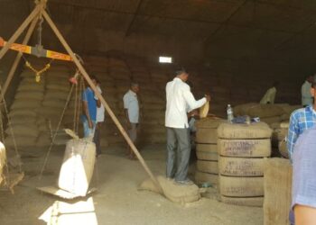 उरण तालुक्यात बळीराजा संकटात