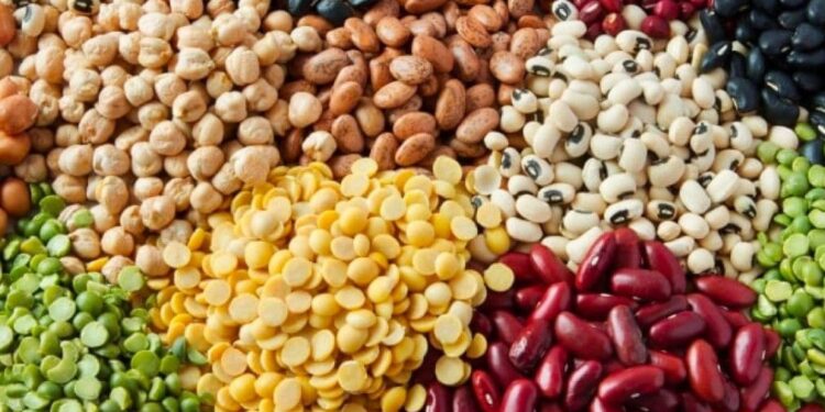 ओलाव्याअभावी कडधान्य लागवड अडचणीत