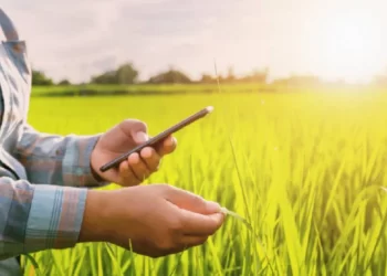 ई-पीक पाहणी ठरतेय डोकेदुखी