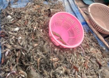 ‌‘हिचडी’मुळे आर्थिक कोंडी