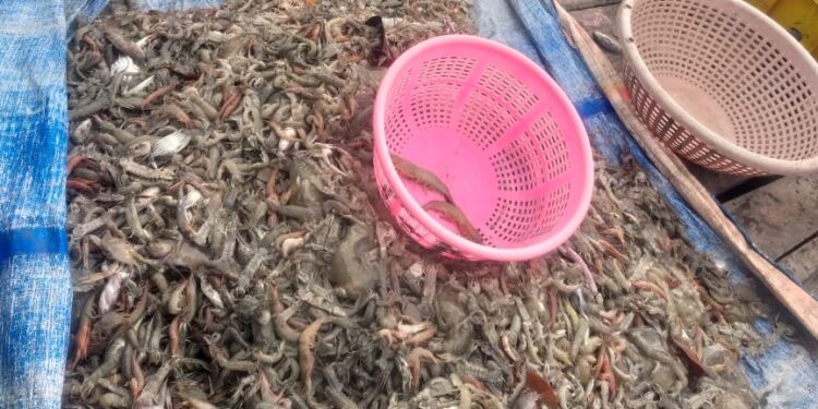 ‌‘हिचडी’मुळे आर्थिक कोंडी