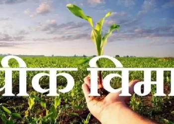 शेतकऱ्यांना विम्याच्या पैशाची प्रतिक्षा