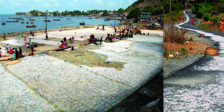 कोळी बांधवांची दिवाळी जोरात