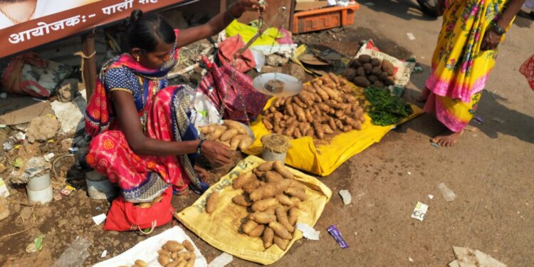कंदमुळे विक्रीतून आदिवासींना हक्काचा रोजगार