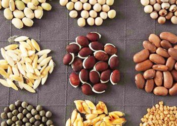 बियाण्यांचे मिनी किटचे वाटप