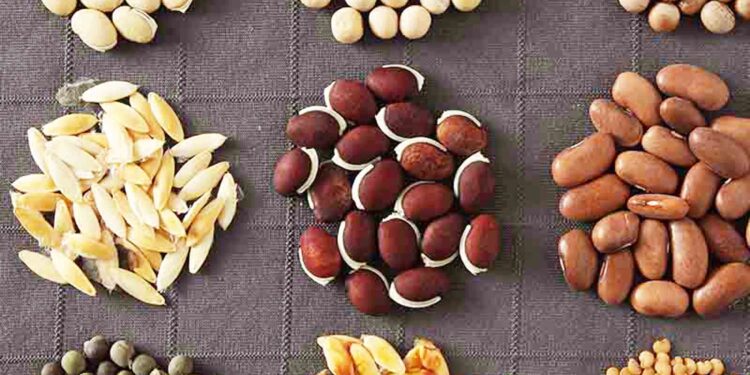 बियाण्यांचे मिनी किटचे वाटप