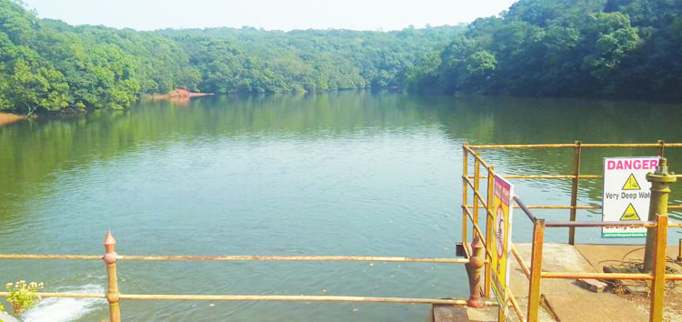 शारलोट तलावाची पाणी पातळी घटली