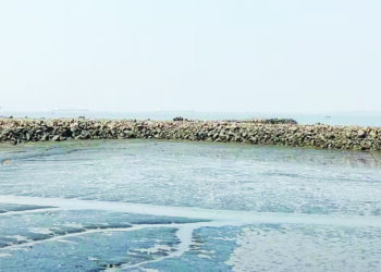 मोरा ते मुंबई रो-रोला जुलैचा मुहूर्त