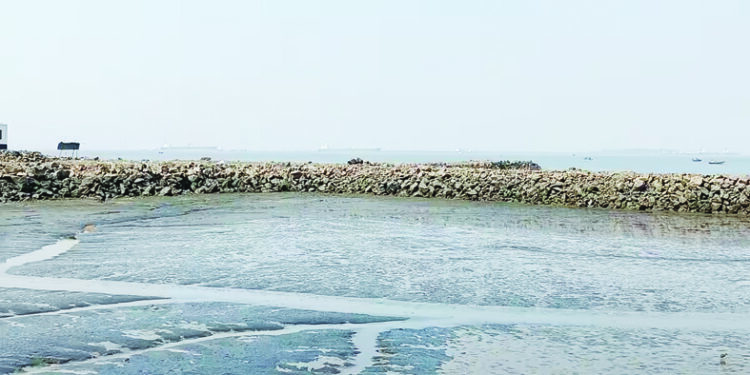 मोरा ते मुंबई रो-रोला जुलैचा मुहूर्त