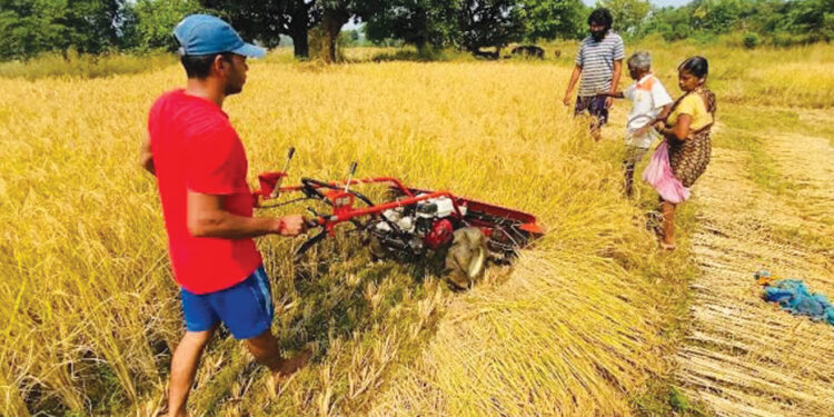 सगुणाबागेत आधुनिक शेतीचे धडे