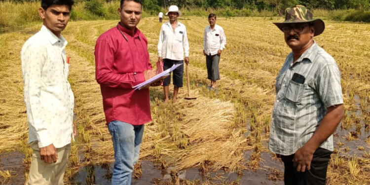 शेतीच्या नुकसानीचे पंचनामे करण्याचे आदेश