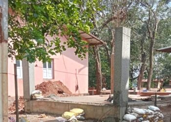 वृक्षतोड करून विनापरवाना बांधकाम सुरू