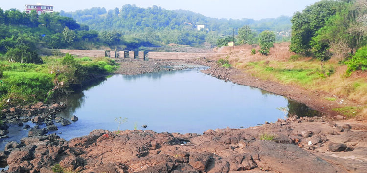 पाटबंधारे विभागाचा दुर्लक्षितपणा चव्हाट्यावर