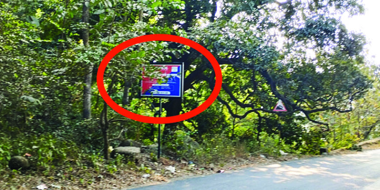 पोलीस ठाणे हद्दीचा फलक झुडपात