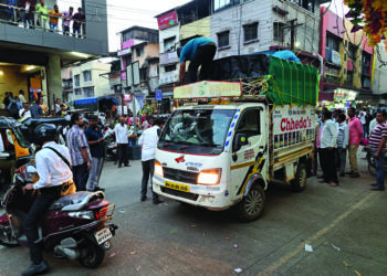 निर्बीजीकरणासाठी भटक्या कुत्र्यांची धरपकड