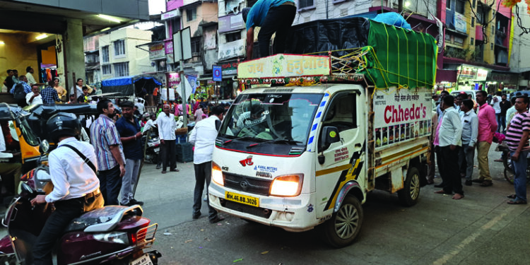 निर्बीजीकरणासाठी भटक्या कुत्र्यांची धरपकड