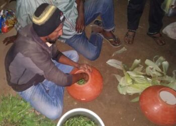 रायगडात पोपटी पार्ट्यांचे वेध