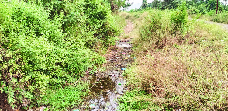 रब्बीसाठी शेतकरी पाण्याच्या प्रतीक्षेत