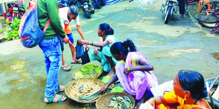 गोड्या मच्छिची खवय्यांना मेजवानी