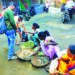 गोड्या मच्छिची खवय्यांना मेजवानी