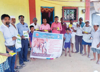 गायी, म्हशींसाठी वंध्यत्व निवारण अभियान