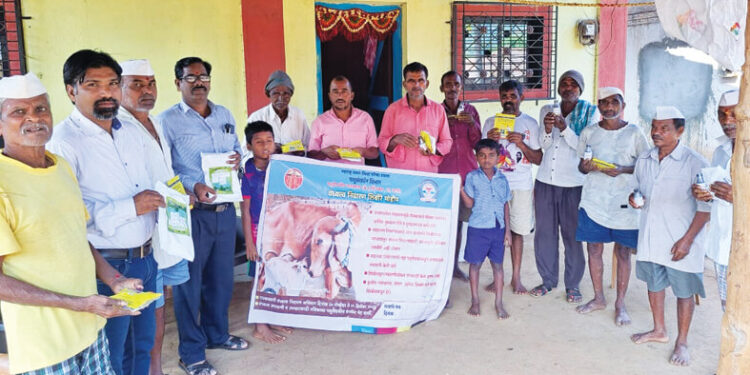 गायी, म्हशींसाठी वंध्यत्व निवारण अभियान