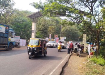 कार्लेखिंडीत माकडांसाठी स्कायवॉकची मागणी