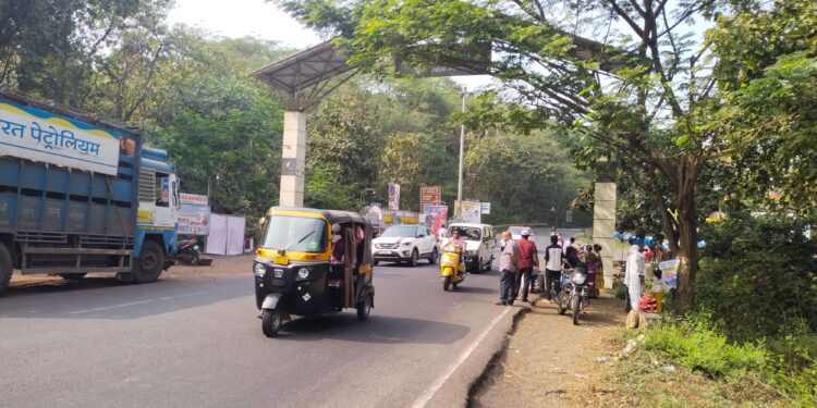 कार्लेखिंडीत माकडांसाठी स्कायवॉकची मागणी