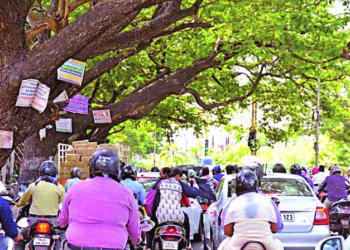 झाडांना खिळेमुक्तीसाठी कामोठेवासीयांचा पुढाकार