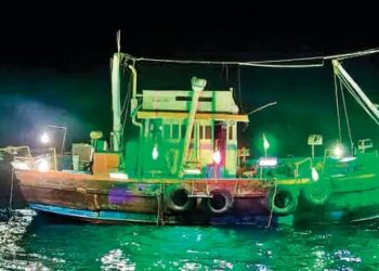 एलईडी, पर्ससीन नेट नौकांचा उच्छाद