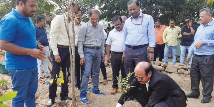 ओएनजीसीतर्फे वनीकरण