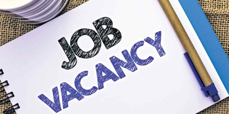 पदवीधर तरूणांना रोजगाराची संधी