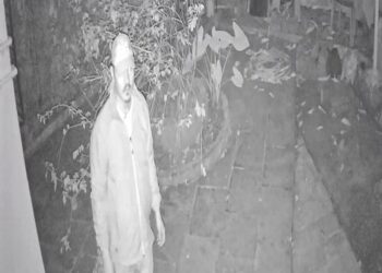 दूरध्वनीची घंटी वाजली आणि चोर पसार झाले