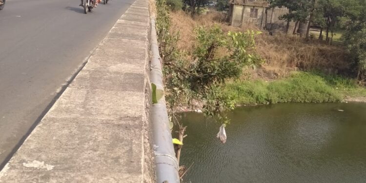 श्रीराम पूलाची स्वच्छती